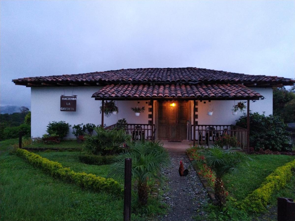 Villa Hacienda Cafetera La Gaviota Chinchiná Exterior foto